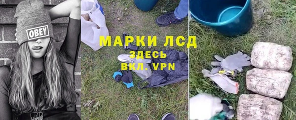 сатива Волосово