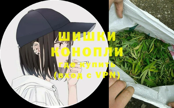 сатива Волосово